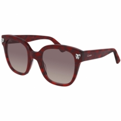 Cartier Ct0143s 003 Ws