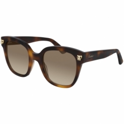 Cartier Ct0143s 002 C