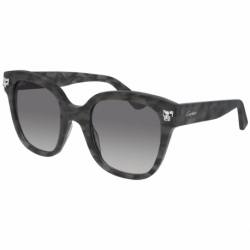 Cartier Ct0143s 004 Wz