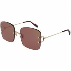Cartier Ct0153s 004 Wr