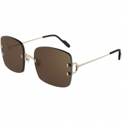 Cartier Ct0153s 002 Wp