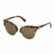 Dsquared2 Kylie Dq 0243 56e