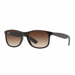 Ray-Ban Andy Rb 4202 6073/13