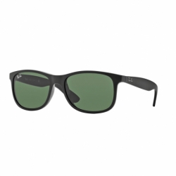 Ray-Ban Andy Rb 4202 6069/71