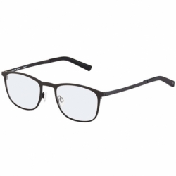 Rodenstock R7103 A 79