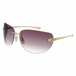 Cartier Ct0266s 003 Hf